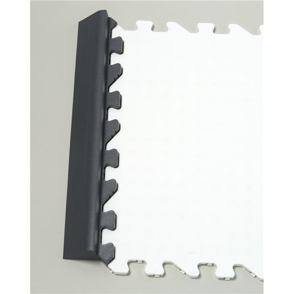 WINNWELL PUCK STOPPER EDGING